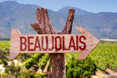 Profitez d'être là pour découvrir le Beaujolais